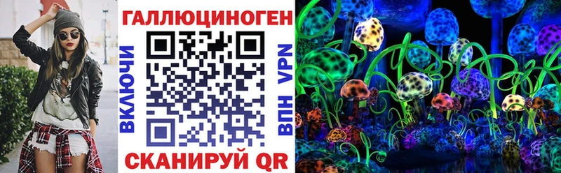 Галлюциногенные грибы Psilocybine cubensis Дальнереченск
