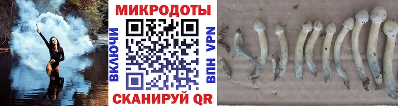 блэк спрут вход  Дальнереченск  darknet Telegram  Галлюциногенные грибы Psilocybe 
